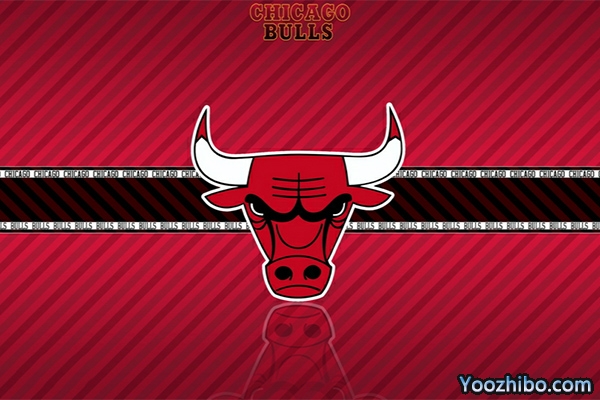 <a href=/lanqiuzq/bulls/ target=_blank class=infotextkey>公牛</a>队