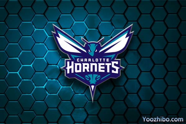 2019-2020赛季<a href=/lanqiuzq/hornets/ target=_blank class=infotextkey>黄蜂</a>队队徽